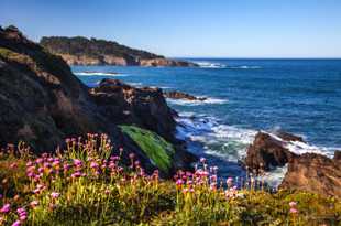 Mendocino Bay-2171